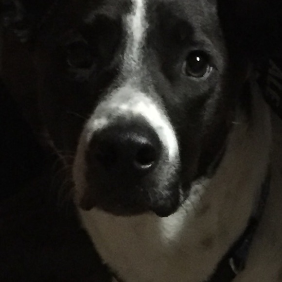 Meet your Posher, Nicole christine - Picture 1 of 1